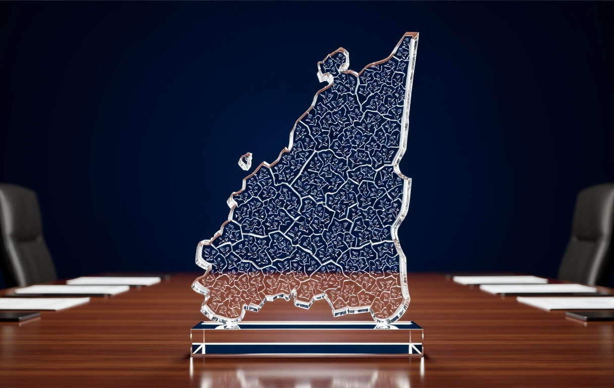 Strategic Representation